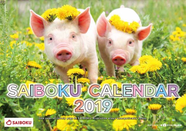 子豚カレンダー表紙